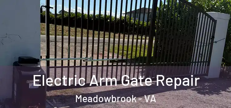 Electric Arm Gate Repair Meadowbrook - VA