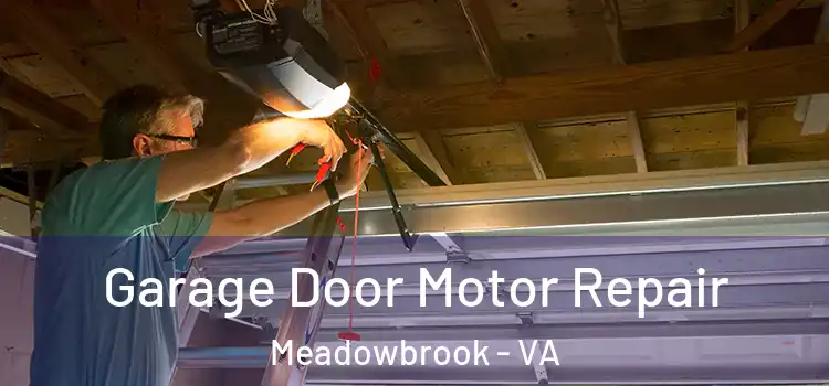  Garage Door Motor Repair Meadowbrook - VA