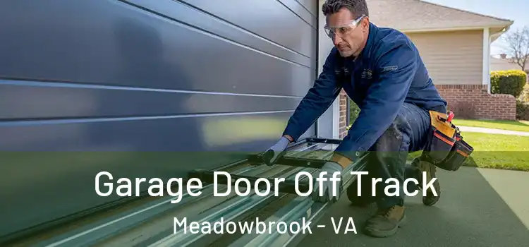  Garage Door Off Track Meadowbrook - VA