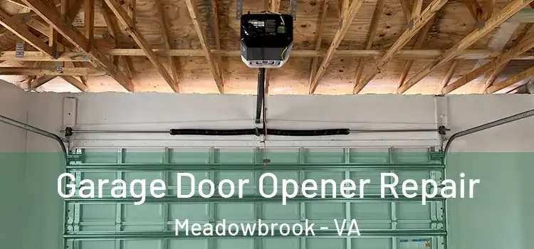  Garage Door Opener Repair Meadowbrook - VA