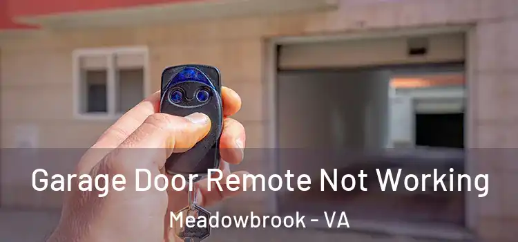  Garage Door Remote Not Working Meadowbrook - VA