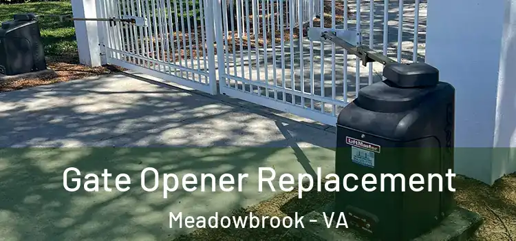 Gate Opener Replacement Meadowbrook - VA