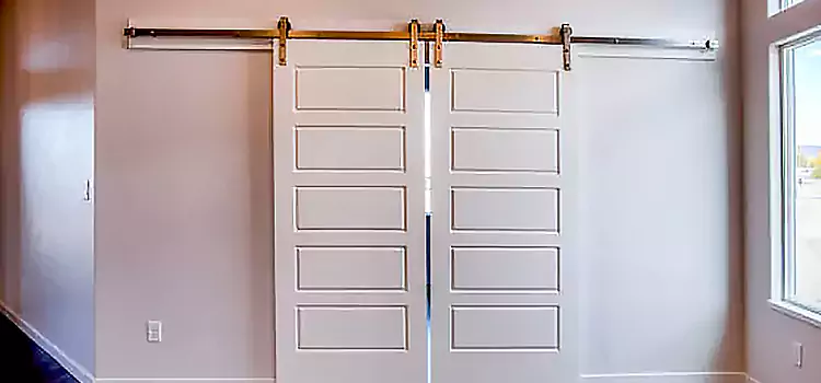 Glass Barn Door with Installation Hardware Kit Meadowbrook