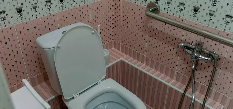 Meeting Diverse Needs With Accessible Restroom Solutions in Meadowbrook, VA