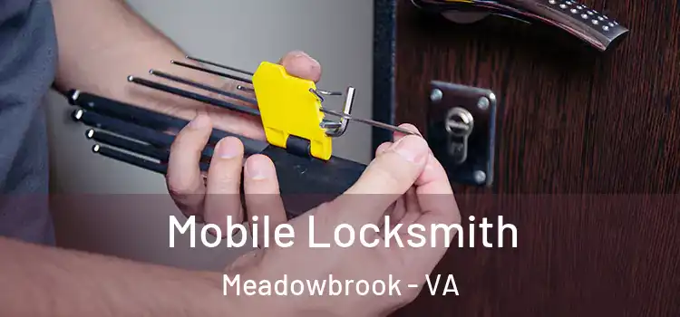 Mobile Locksmith Meadowbrook - VA
