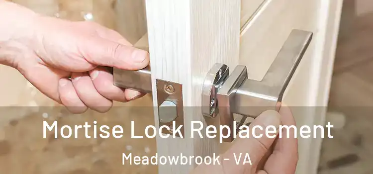 Mortise Lock Replacement Meadowbrook - VA
