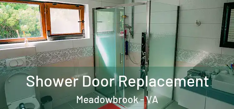 Shower Door Replacement Meadowbrook - VA