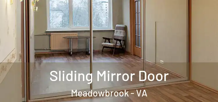  Sliding Mirror Door Meadowbrook - VA